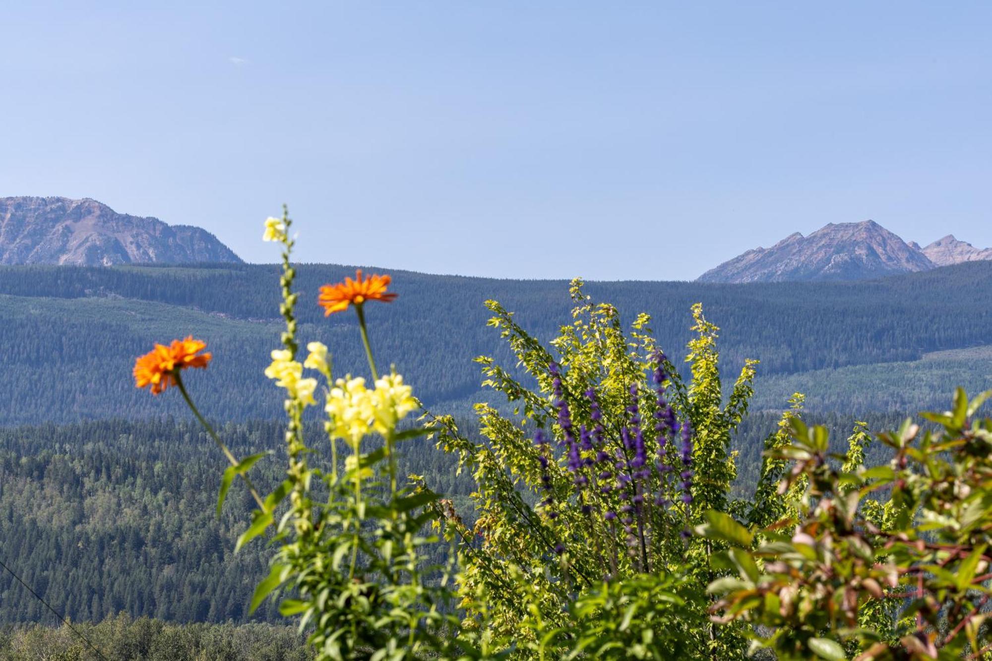 Golden Mountain View Suites - Sleeps up to 8, Convenient Self Check-in Buitenkant foto